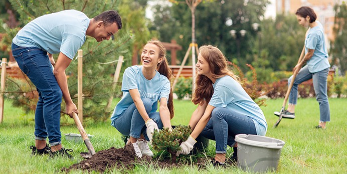 volunteers planting trees