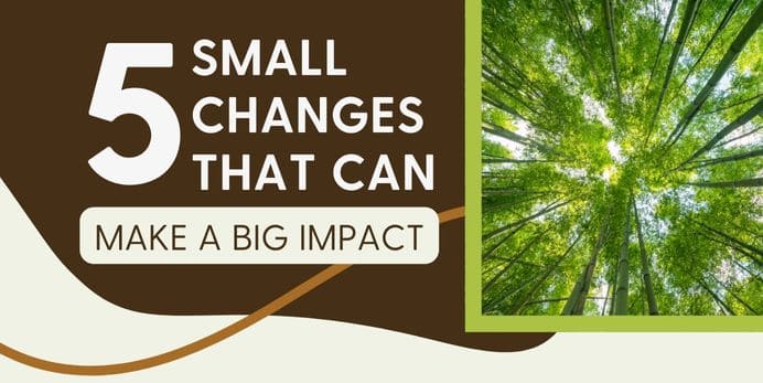 Promo image for an infographic about 5 Small Changes Someone Can Make that make a Big Impact