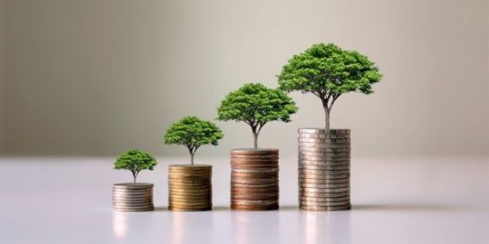 money piles and trees growing