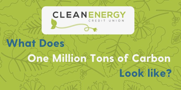 This is a preview of what the carbon offset infographic will look like.