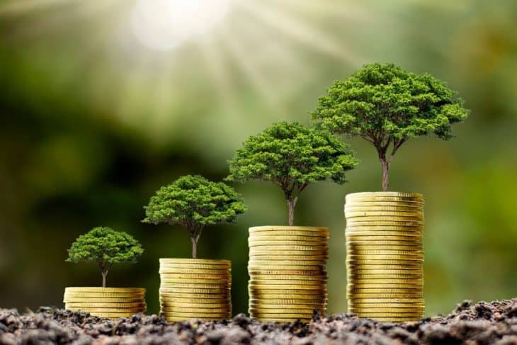 climate friendly earnings