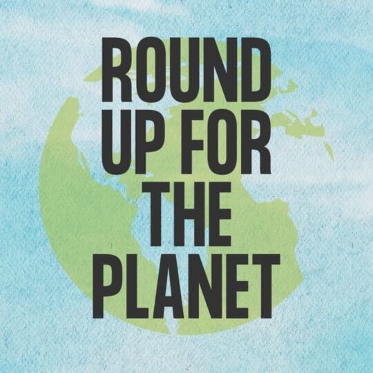 Promotional image with an earth and text that says "round up for the planet".