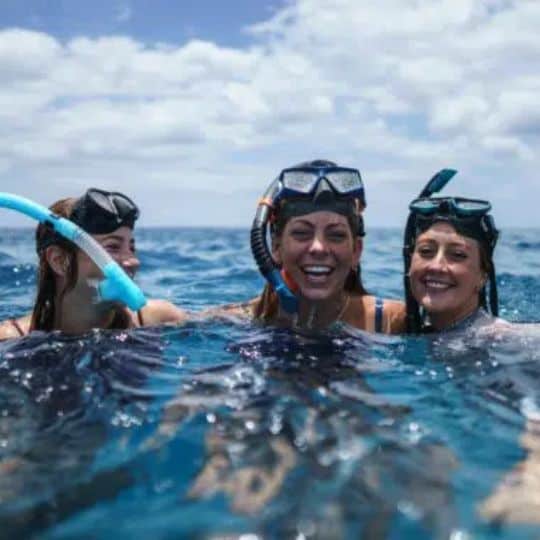 Green program banner