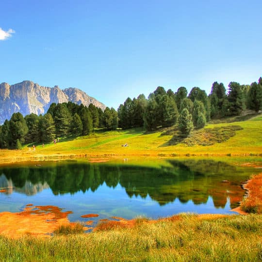 lake in meadow reflecting mountain