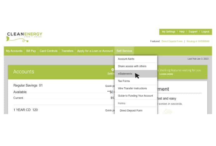 screenshot of estatements in online banking